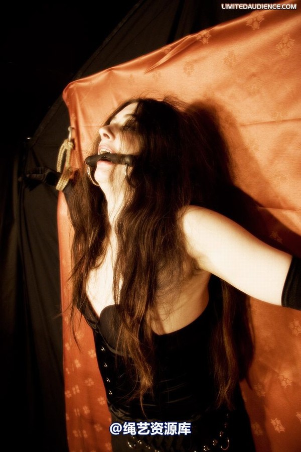 limitedaudience - 2009 catya raevan alptraum part iii 第 7 张图片