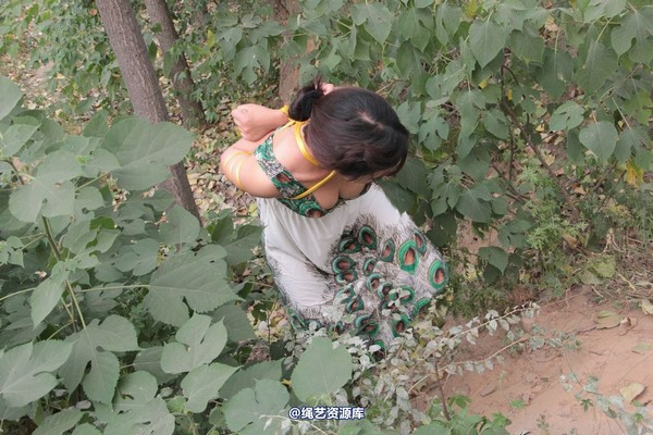 胜景山庄 - 275-山林绑着堵嘴狂跑 第 7 张图片