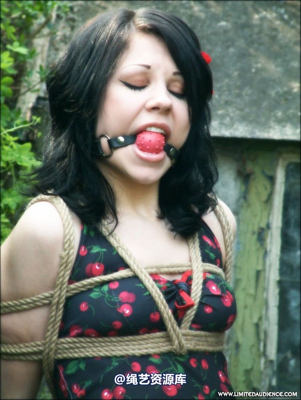 limitedaudience - 2007 dominick destruction leashed pt 2 第 34 张图片
