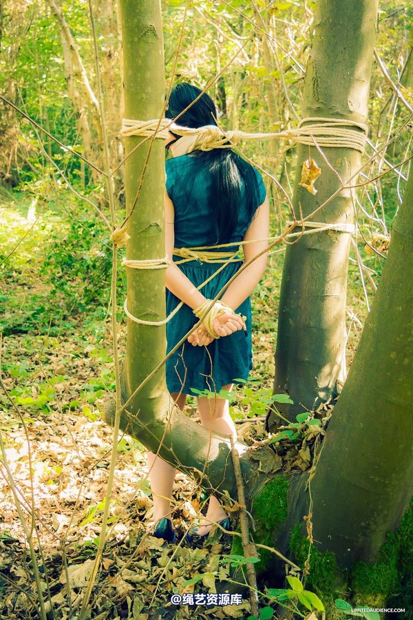limitedaudience - 2015 stacey von in the forest 2 第 1 张图片