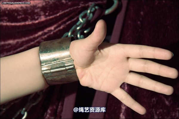 limitedaudience - 2008 veriddian chains on velvet 第 35 张图片