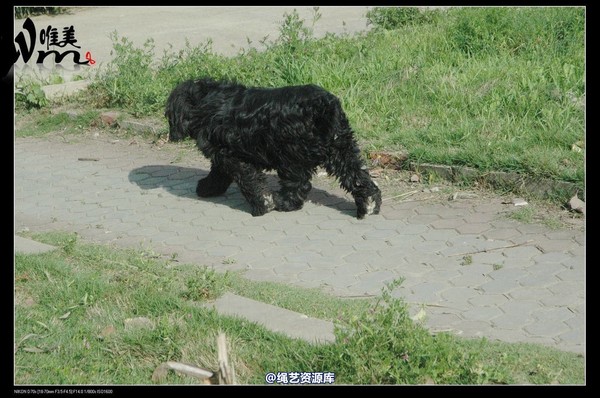 唯美之家 - 同好之缘 第 272 张图片