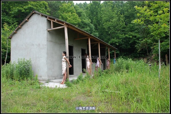 千丝万缕 - 2008-05-24日照片 第 6 张图片