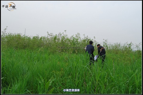千丝万缕 - 2008-04-06日照片 第 53 张图片