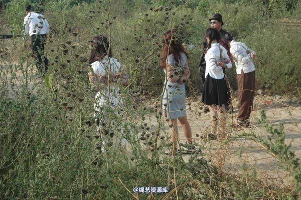mj影视 - 生活不是戏 第 190 张图片
