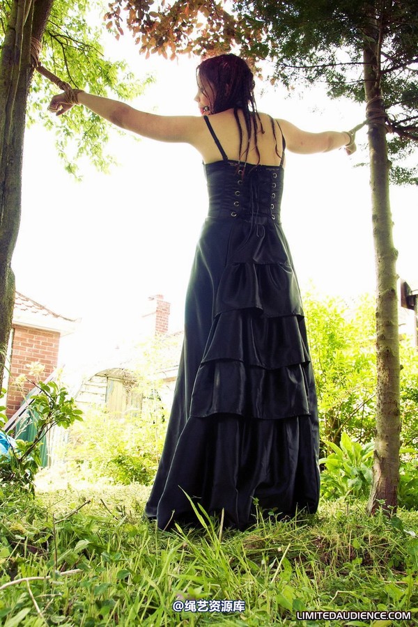 limitedaudience - 2011 beckykat between trees 2 第 30 张图片