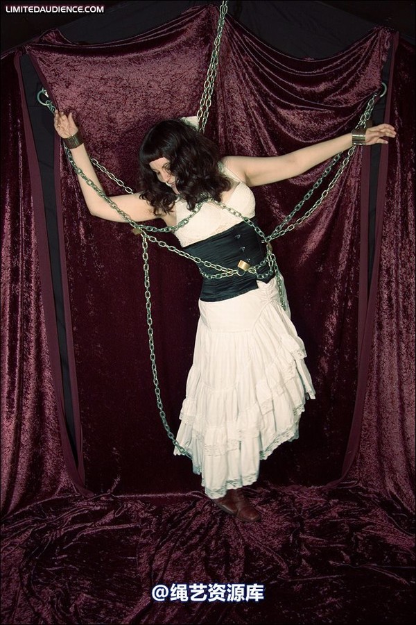 limitedaudience - 2008 veriddian chains on velvet 第 22 张图片