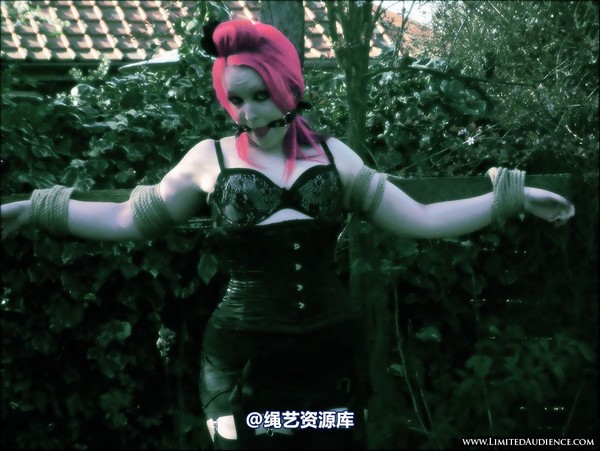 limitedaudience - 2007 assisted suicide up on the cross 第 10 张图片