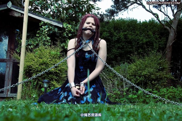 limitedaudience - 2010 beckykat chained and staked 第 10 张图片