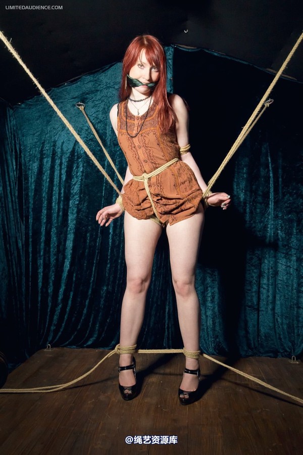 limitedaudience - 2012 syrah lee rope web 第 27 张图片