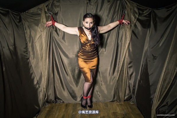 limitedaudience - 2014 caroline pierce bondage in bronze 第 1 张图片