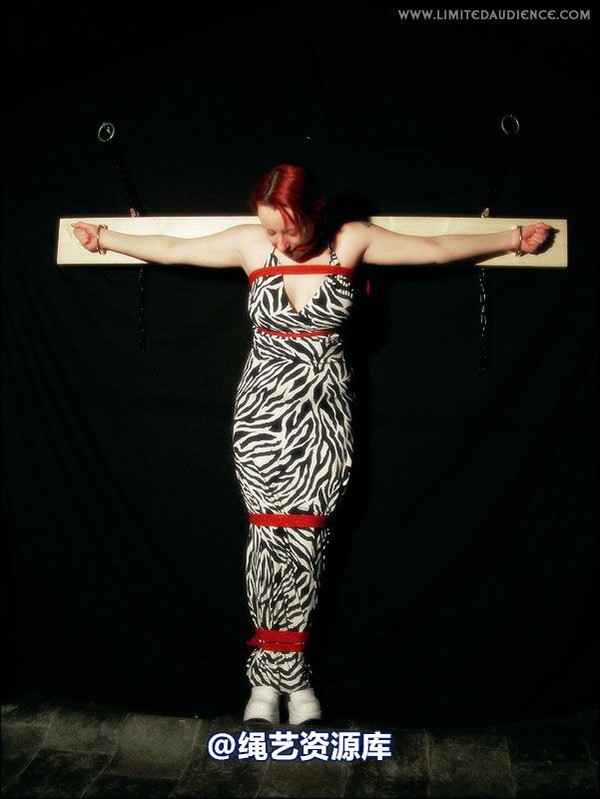 limitedaudience - 2007 erin chained animal 第 19 张图片