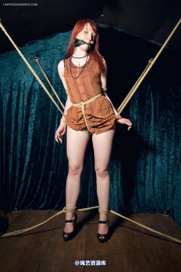 limitedaudience - 2012 syrah lee rope web 第 12 张图片