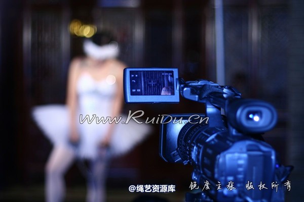 锐度主张 - 镣铐芭蕾叶子 第 40 张图片
