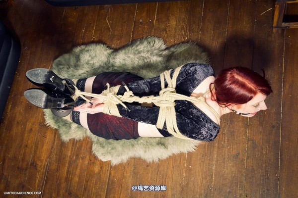 limitedaudience - 2012 syrah lee hogtied 第 25 张图片