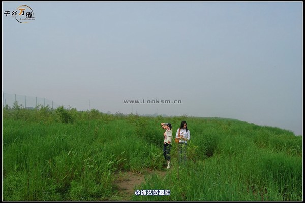 千丝万缕 - 2008-04-06日照片 第 13 张图片