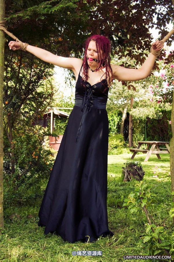 limitedaudience - 2010 beckykat between trees 第 18 张图片