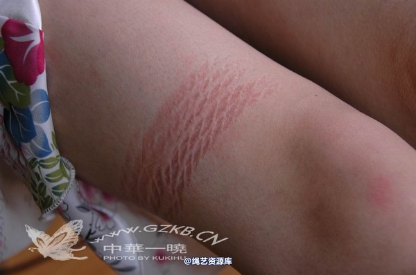 中华一晓 - 中华一晓 NO.0320 第 247 张图片