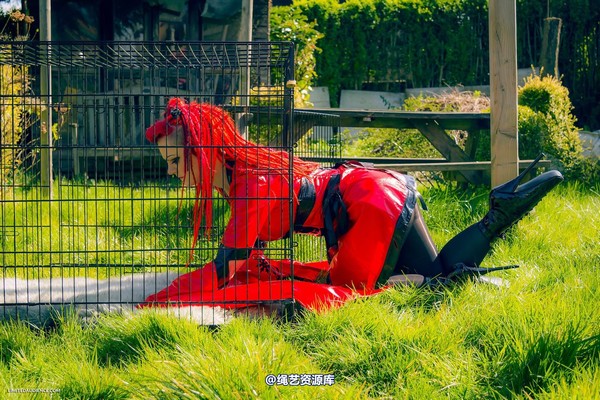 limitedaudience - 2015 raevan into the cage 第 28 张图片