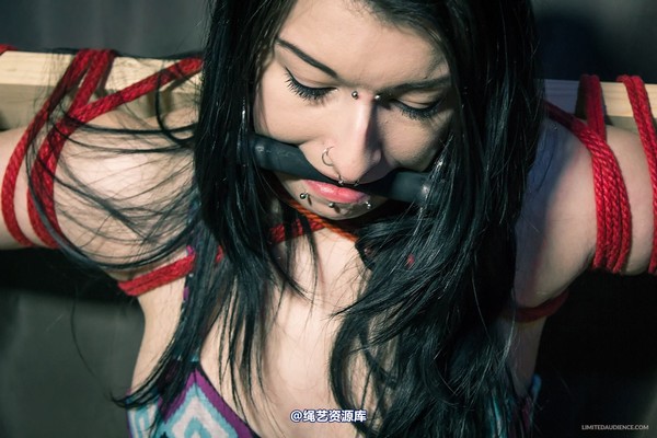 limitedaudience - 2013 stacey von time challenge 第 21 张图片