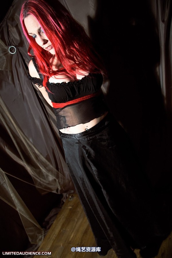 limitedaudience - 2010 elyssia bound to a pole 第 21 张图片