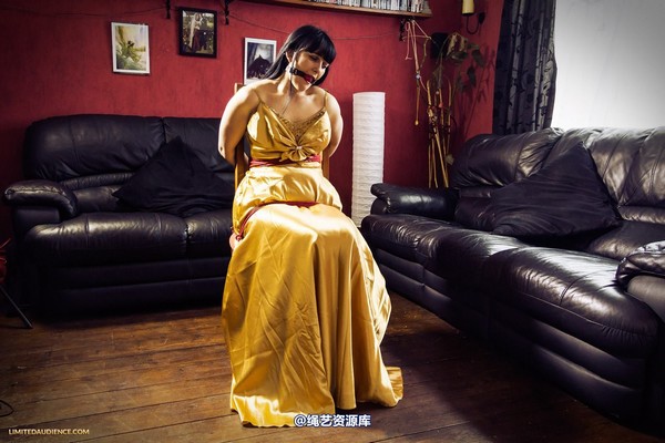 limitedaudience - 2013 dynamo golden satin 2 第 39 张图片