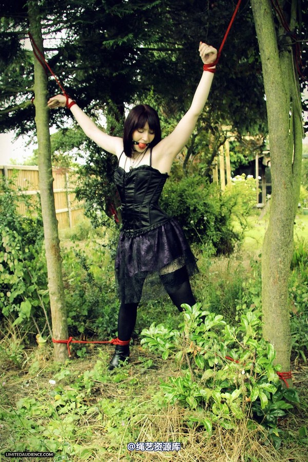limitedaudience - 2013 syrah lee helpless outdoors 2 第 1 张图片