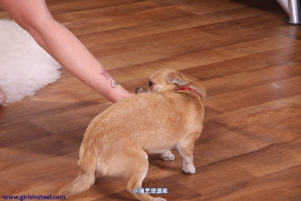 girlsinsteel - One pair of handcuffs are not enough 第 4 张图片
