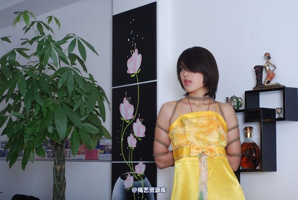 唯美之家 - 书兰-黄礼服 第 107 张图片