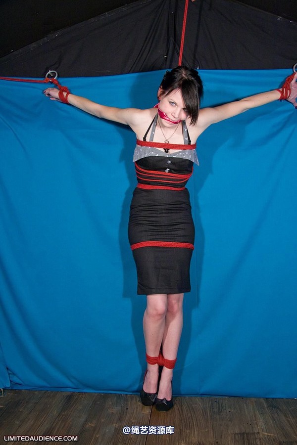 limitedaudience - 2010 luisa tied to the wall 第 13 张图片