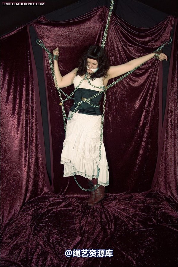 limitedaudience - 2008 veriddian chains on velvet 第 28 张图片