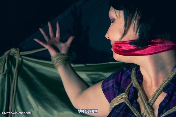limitedaudience - 2010 deception bound tightly 2 第 17 张图片