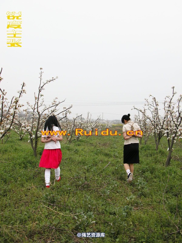 锐度主张 - 婷婷和寒冰梨花林中 第 11 张图片