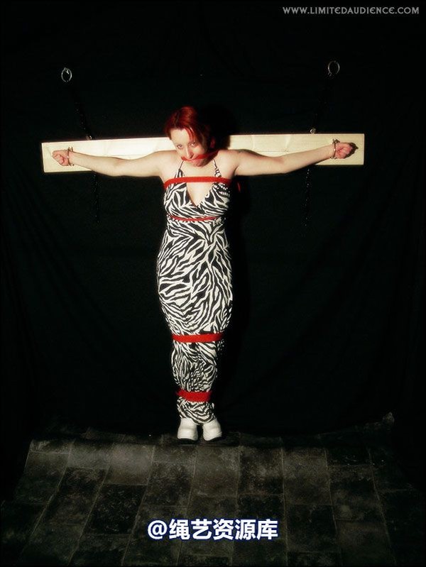 limitedaudience - 2007 erin chained animal 第 34 张图片