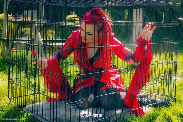 limitedaudience - 2015 raevan into the cage 第 14 张图片
