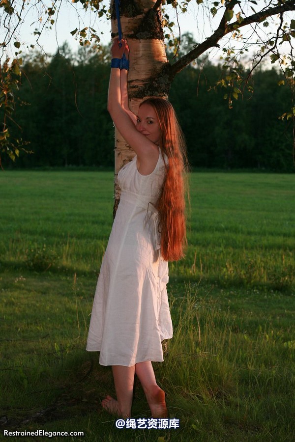 restrainedelegance - Sunset Semi-Suspension 第 8 张图片