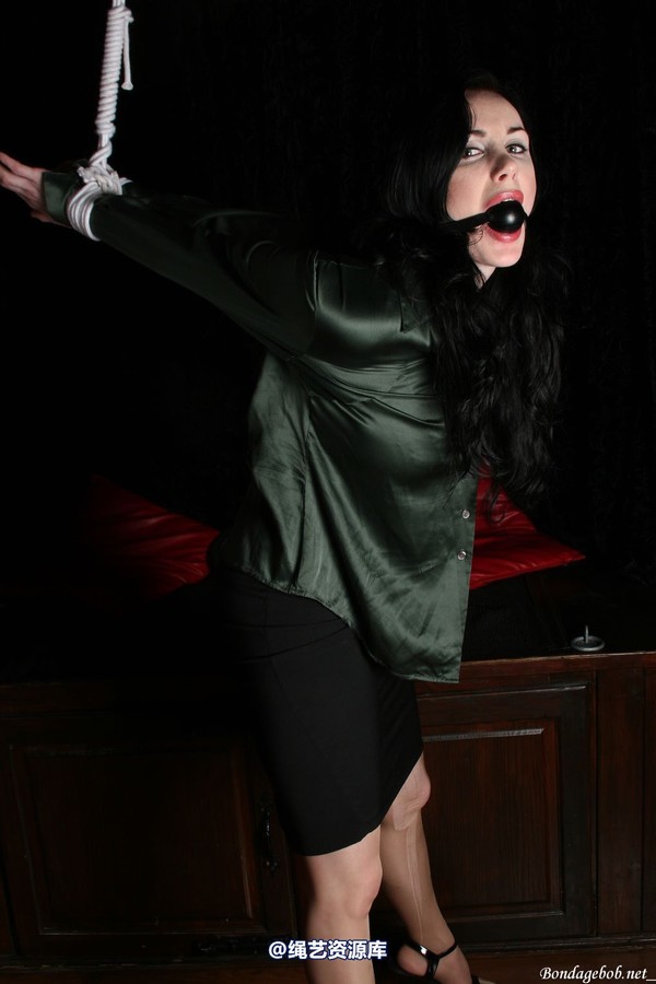 bondagebob - Morrigan Strung up in the dark 第 45 张图片