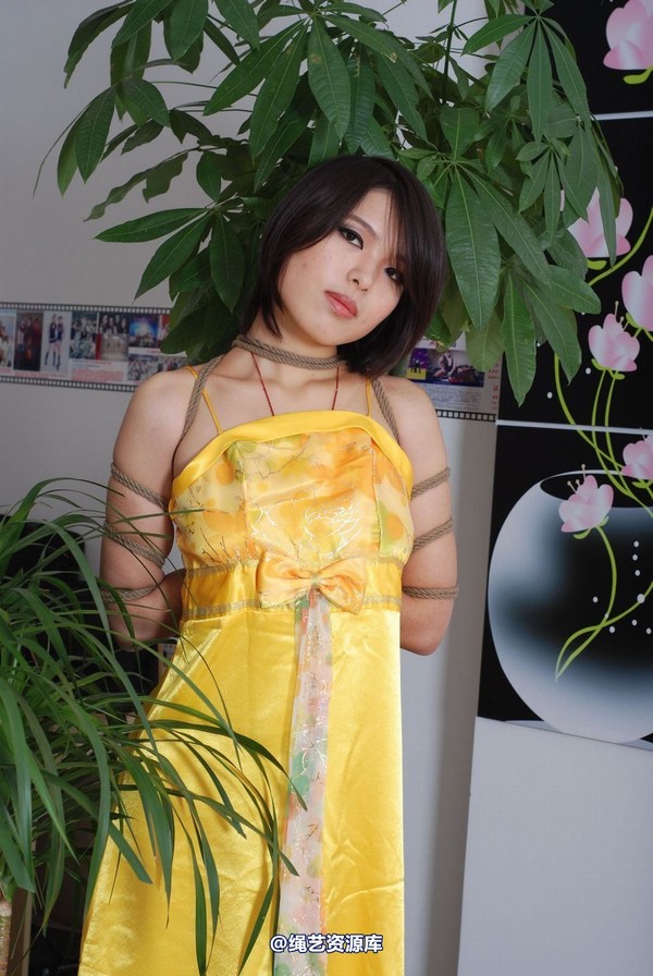 唯美之家 - 书兰-黄礼服 第 13 张图片
