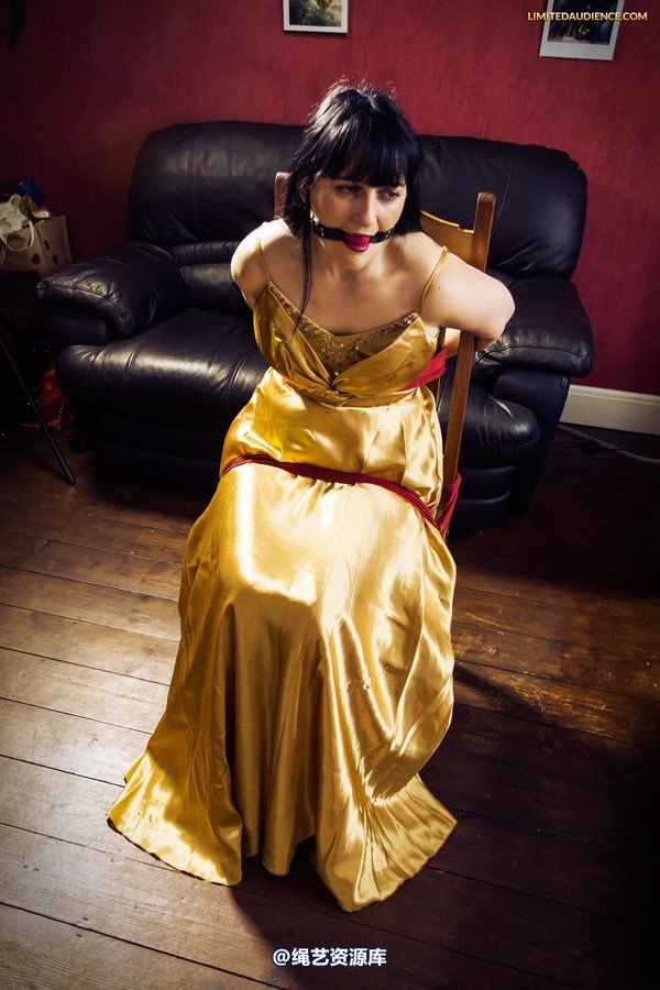 limitedaudience - 2013 dynamo golden satin 2 第 22 张图片