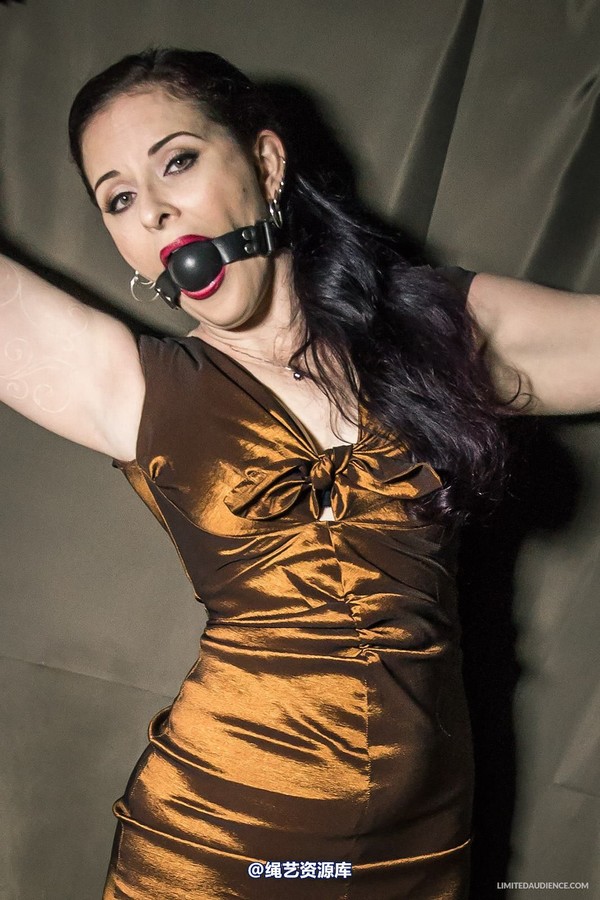 limitedaudience - 2014 caroline pierce bondage in bronze 第 15 张图片