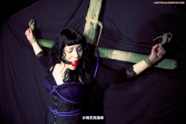 limitedaudience - 2009 veriddian hoissy 2 第 11 张图片