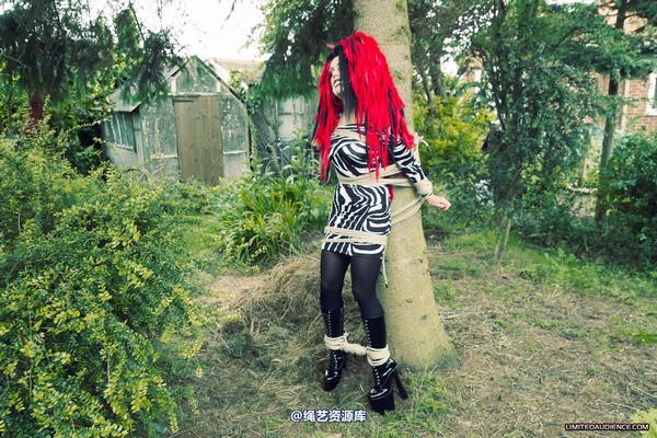 limitedaudience - 2012 andromedax bound to a tree 2 第 18 张图片
