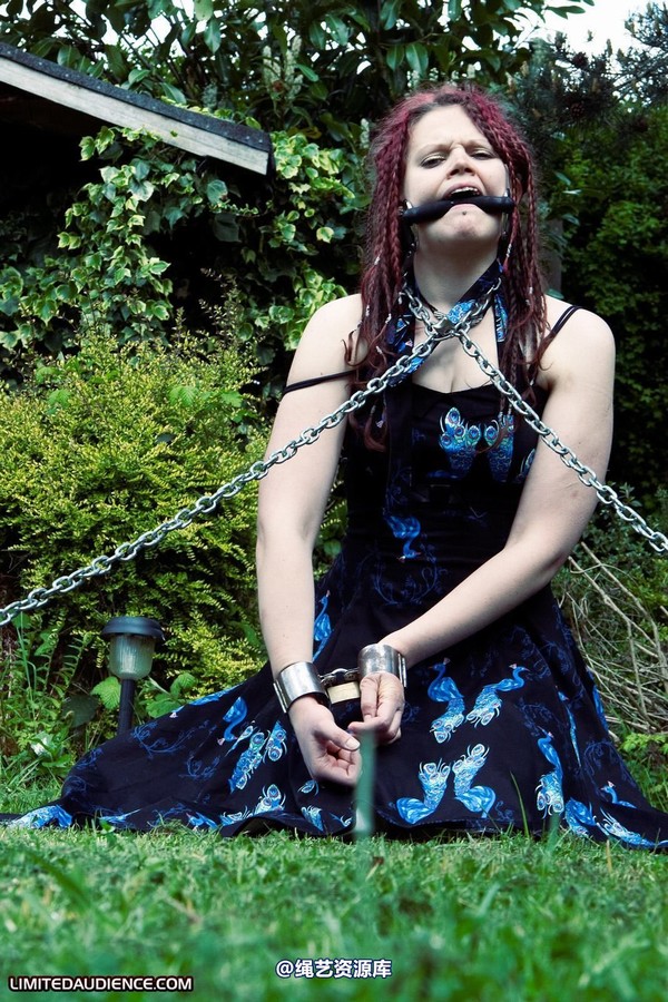 limitedaudience - 2010 beckykat chained and staked 第 7 张图片