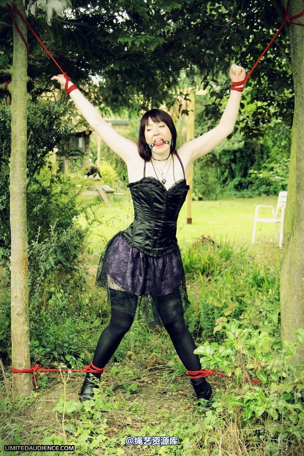 limitedaudience - 2011 syrah lee helpless outdoors 第 37 张图片