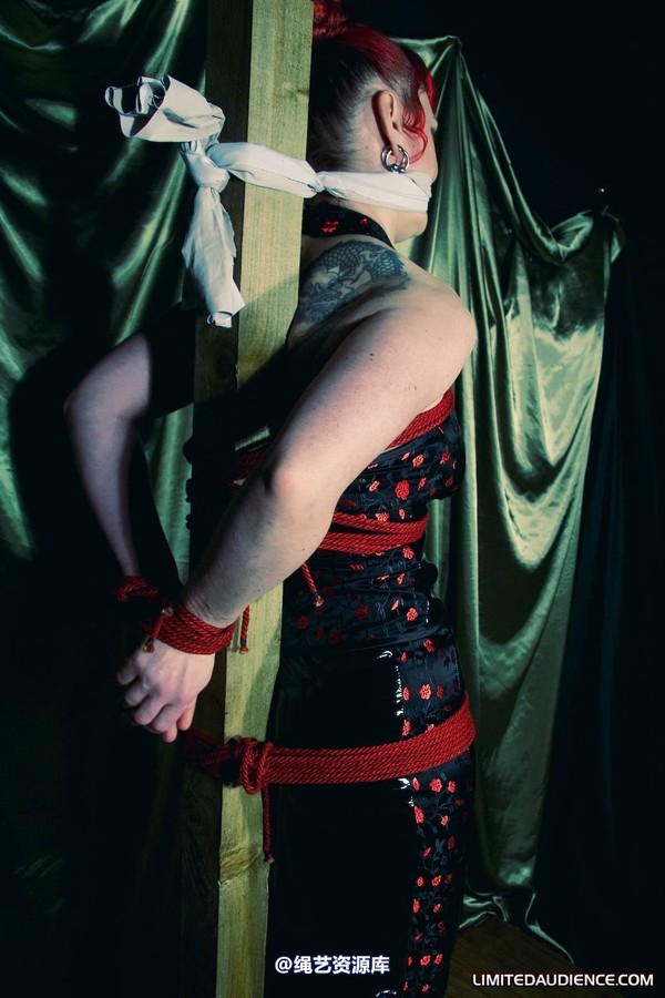 limitedaudience - 2010 raevan postbound 2 第 2 张图片