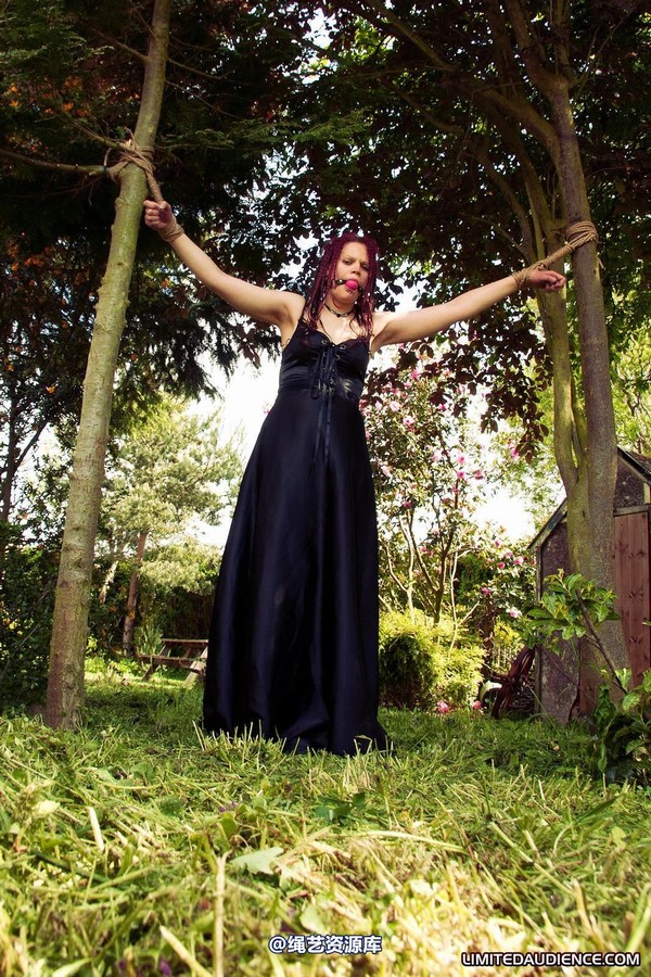 limitedaudience - 2011 beckykat between trees 2 第 21 张图片