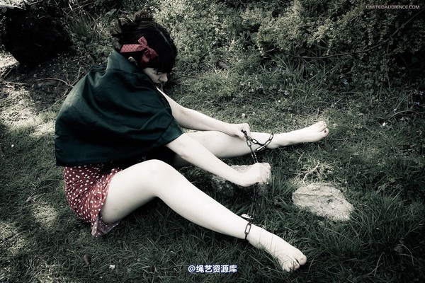 limitedaudience - 2012 dominick destruction escape and punishment 第 6 张图片