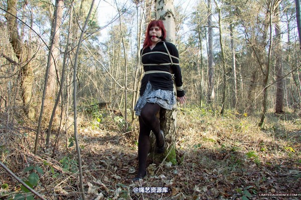 limitedaudience - 2012 scarlett stuck in the woods 2 第 17 张图片