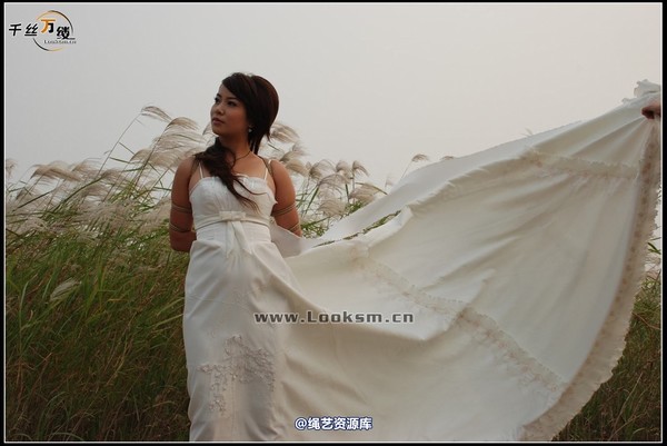 千丝万缕 - 2007-10-11日照片 第 42 张图片