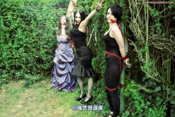 limitedaudience - 2009 catya elyssia lolly pleasure reserves 第 16 张图片